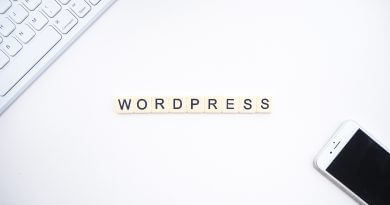 Sicherheitslücken bei WordPress, Abbildung Schriftzug
